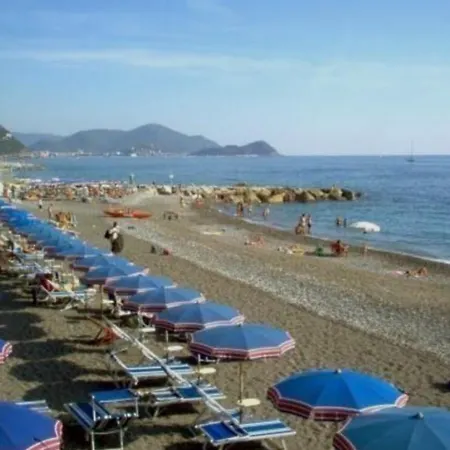 Stella Marina *