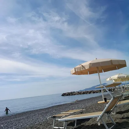 Stella Marina